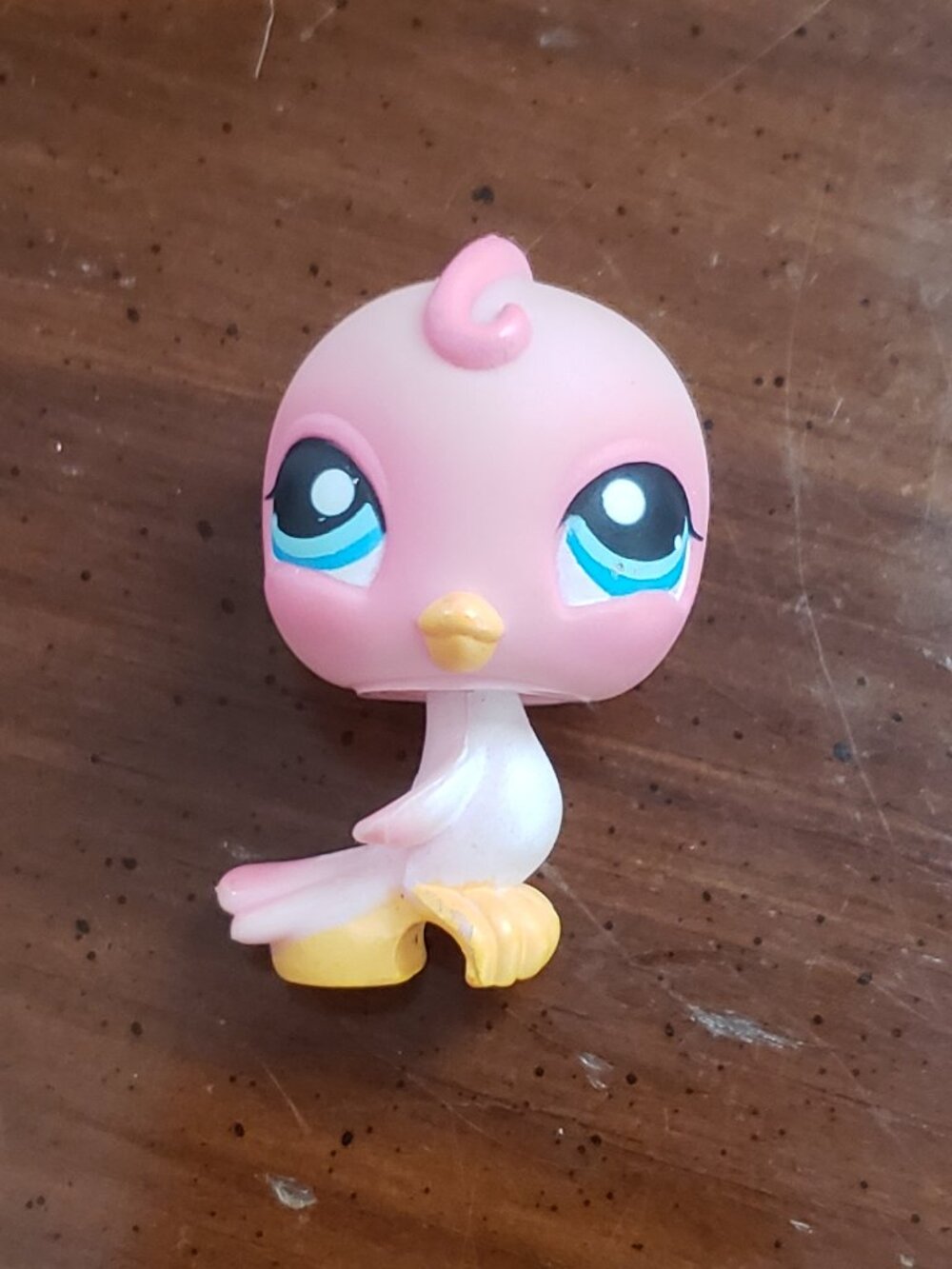 LPS Parakeet #205
